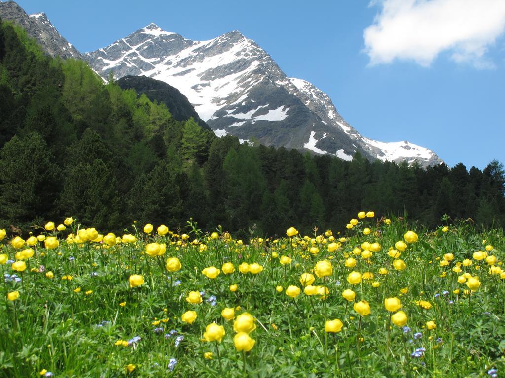 Ferienhaus Resinger Matrei in Osttirol Dış mekan fotoğraf